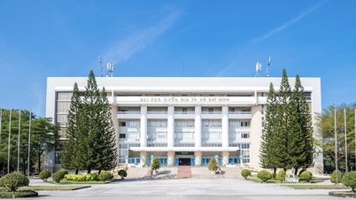 Ho Chi Minh Şehri, insan kaynakları eğitimi ve yapay zeka ile yarı iletkenlerin geliştirilmesi amacıyla Vietnam Ulusal Üniversitesi Ho Chi Minh Şehri ile iş birliği yapmaktadır.
