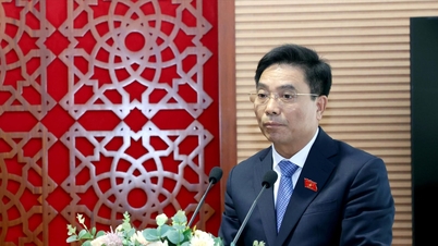 Phiên họp toàn thể lần thứ Nhất của Ủy ban Quốc phòng, An ninh và Đối ngoại