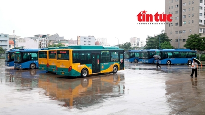 Gratis bussresor i Ho Chi Minh-staden: Ett genombrott för kollektivtrafiken.