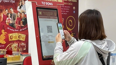 Liderlerinin suçlanmasının ardından Bao Tin Minh Chau nasıl faaliyet gösteriyor?