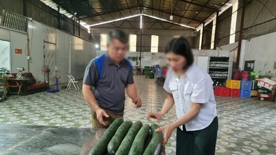 Thai Nguyen: Bejelentés nélküli ellenőrzés a Hoa Binh óvoda élelmiszer-beszállítójánál.