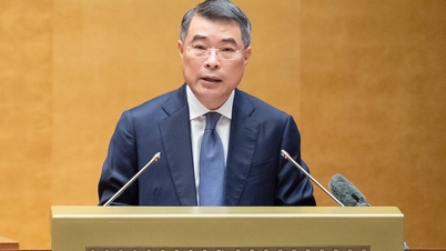 Chefen för den centrala organisationskommittén, Le Minh Hung, valdes till premiärminister.