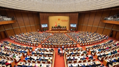 Pagi ini, Dewan Undangan Negeri telah memilih Presiden dan Perdana Menteri.