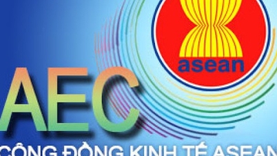 Implementatie van het strategisch plan van de ASEAN Economische Gemeenschap