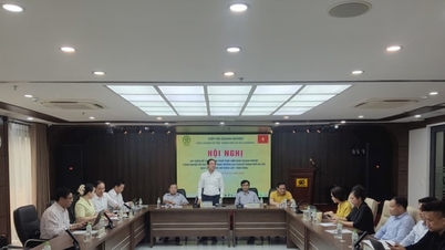 হ্যানয়ের সহায়ক শিল্পগুলোকে দুই অঙ্কের প্রবৃদ্ধিতে উন্নীত করার ৫টি মূল সমাধান।