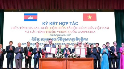 Hoàng Anh Gia Lai đầu tư dự án nông nghiệp gần 29 triệu USD tại Campuchia