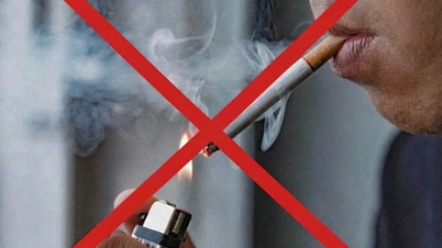 বিষবিদ্যা বিশেষজ্ঞ: সিগারেটকে 'নির্মূল' করার সময় এসেছে।