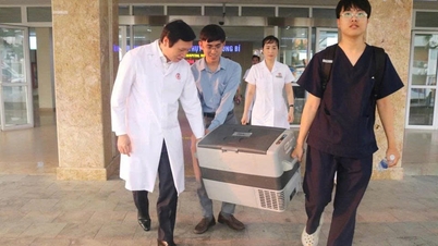 أُعيدت الحياة إلى سبعة أشخاص بفضل تبرعات الأعضاء من شاب متوفى دماغياً.