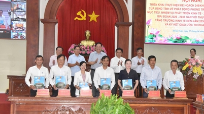 Dong Thap launches emulation campaign, determined to achieve double-digit growth.
