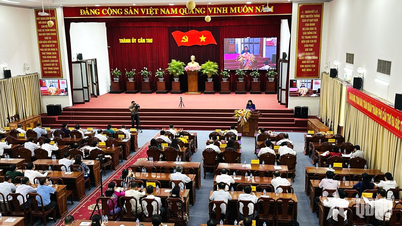 Can Tho: Over 4,790 news articles, reports, and features publicizing the election of deputies to the 16th National Assembly and People's Councils at all levels.