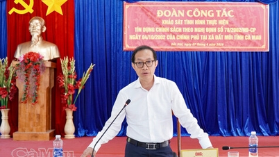 Het maximaliseren van de effectiviteit van beleidsgestuurde kredietverlening in de meest zuidelijke regio van Vietnam.