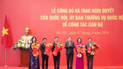 Slavnostnímu ceremoniálu předsedal předseda Národního shromáždění Tran Thanh Man, který oznámil a předložil usnesení o personálních záležitostech.