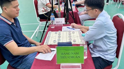 A Xiangqi világbajnok, Lai Ly Huynh sokkoló vereséget szenvedett a nemzeti negyeddöntőben.