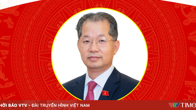 最高人民法院長官グエン・ヴァン・クアンの略歴