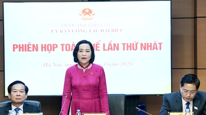 Nestleder i nasjonalforsamlingen, Nguyen Thi Thanh, deltok på det første plenumsmøtet i komiteen for delegatsaker.