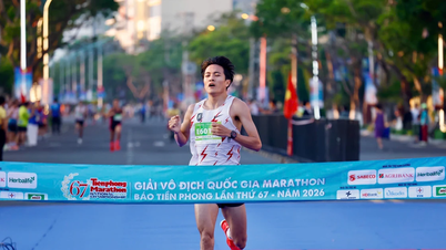 SABECO și Maratonul Tien Phong 2026 vor spori frumusețea orașului Nha Trang la fiecare pas al cursei.