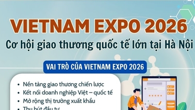 Vietnam Expo 2026: Kopplar samman företag, expanderar exportmarknader.
