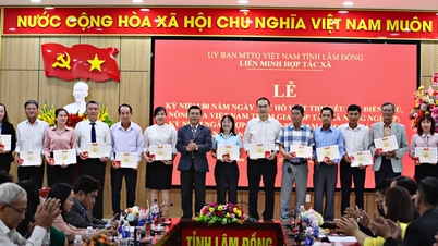 ឡឹមដុង អះអាងពីតួនាទីរបស់សេដ្ឋកិច្ចសមូហភាព។