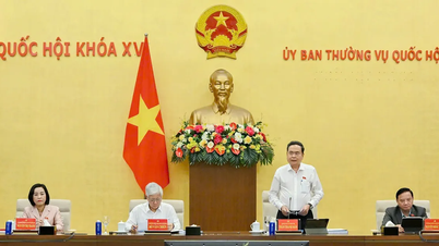 Garantizar la coherencia en las políticas de compensación, apoyo y reasentamiento para el proyecto de energía nuclear de Ninh Thuan.