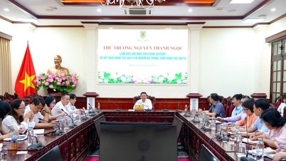 Proposing a series of "breakthrough" mechanisms for state-owned enterprises.