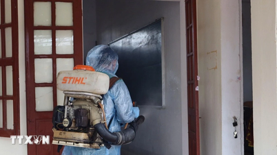 Vietnam - un model de „One Health” în prevenirea și controlul bolilor.