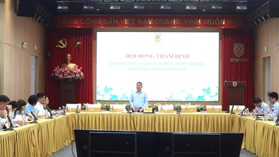 Proposing a special mechanism for developing the state-owned economy in a breakthrough and efficient manner.