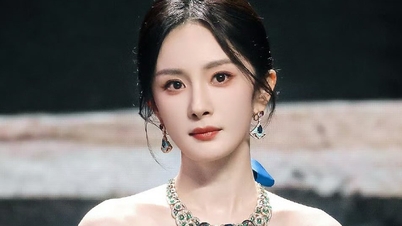 Actress Yang Mi sues anti-fans, demanding 190 million VND in compensation.