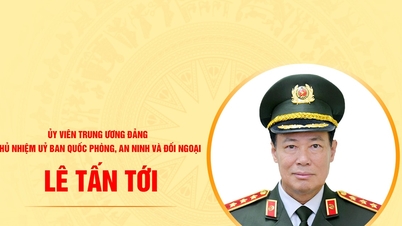 Biografía de Le Tan Toi, Presidente del Comité de Defensa Nacional, Seguridad y Asuntos Exteriores.