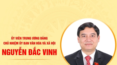 Biography of the Chairman of the Committee on Culture and Social Affairs, Nguyen Dac Vinh