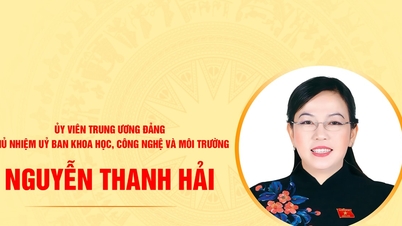 Biografie van Nguyen Thanh Hai, voorzitter van de commissie voor wetenschap, technologie en milieu.