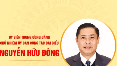 Nguyen Huu Dong, a Küldöttügyi Bizottság elnökének életrajza