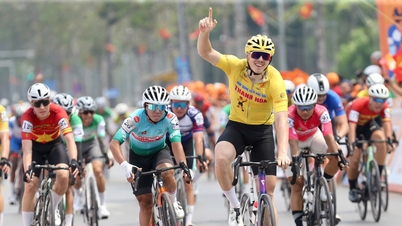 The cyclist wearing the orange jersey of the Ho Chi Minh City Television Cup unfortunately fell right before the finish line.