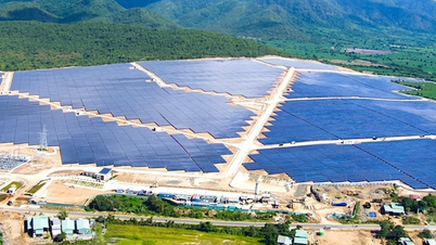 Attracting investment towards a sustainable green economy.