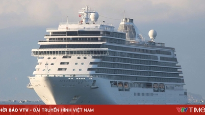 To welcome large-scale international cruise ships, Khanh Hoa province has established a synchronized operational mechanism.