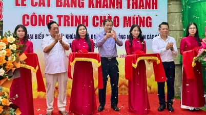 Hai Phong impulsa el modelo de sindicatos socialistas de base, mejorando la representación y la atención a los trabajadores.