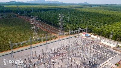 Mejorar la seguridad eléctrica durante la estación seca de 2026.