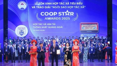 พิธีมอบรางวัลเพื่อเป็นเกียรติแก่สหกรณ์ 50 แห่งที่จะจัดขึ้นในปี 2026