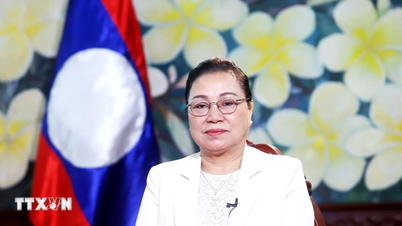 Het bevorderen van strategische samenwerkingsgebieden tussen Laos en Vietnam.