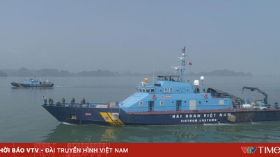 당국은 4조 7660억 VND 상당의 밀수 및 사기 사건 4800건 이상을 적발했습니다.