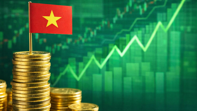 Nach dem Aufwertungssignal jubelt der Aktienmarkt, der VN-Index steigt um fast 50 Punkte.