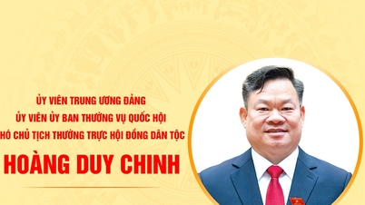 Biografía del camarada Hoang Duy Chinh, miembro del Comité Permanente de la XVI Asamblea Nacional.