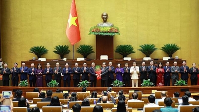 The National Assembly approves the appointment of Deputy Prime Ministers, Ministers, and other members of the Government.
