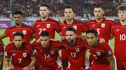Med en minskning av naturaliserade spelare kommer Indonesien att få det svårt att avsätta Vietnam som AFF Cup-mästare.