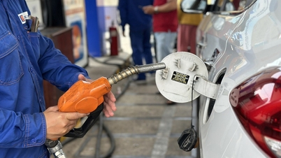 Požadavky na zpřísnění cen dopravy a urychlení přechodu na elektromobily uprostřed rostoucích cen pohonných hmot.