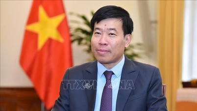 រួមចំណែកពង្រឹង និងពង្រីកចំណងមិត្តភាព និងកិច្ចសហប្រតិបត្តិការគ្រប់ជ្រុងជ្រោយរវាងវៀតណាម ឡាវ និងកម្ពុជា។