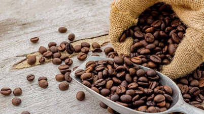 Kaffepriser idag, 8 april 2026: Sänkta med 4000 VND över hela linjen.