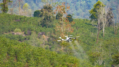 UAV-ok tesztelése műtrágya permetezésére kávéültetvényeken.