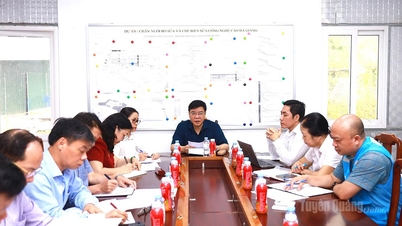Vice Chairman of the Provincial People's Committee Hoang Gia Long inspects the Ha Giang High-Tech Dairy Farming and Milk Processing Project.