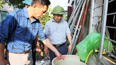 Det er rapportert om et utbrudd av denguefeber i Ha Tinh-provinsen.