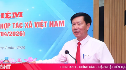 Ha Tinh commemorates the 80th anniversary of President Ho Chi Minh's call to participate in cooperatives.